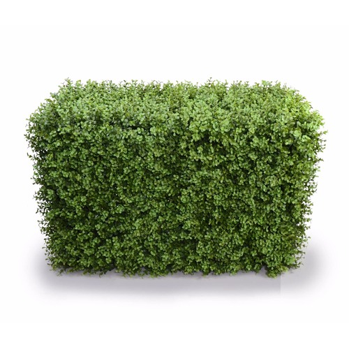 Deluxe Portable Buxus Hedges UV Stabilised