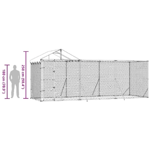 Outdoor Dog Kennel with Roof Silver 6x2x2.5 m Galvanised Steel