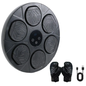 Bluetooth Smart Punching Bag Wall Pad 9 Speeds w/ Gloves
