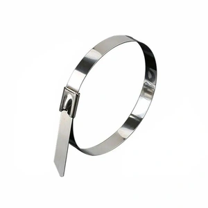 20X Stainless Steel Cable Ties S304 Marine Grade Zip Strap Locking Wrap 100-800Mm - 4.6x400mm