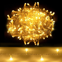 100M Christmas Lights String Fairy Light 500 LED
