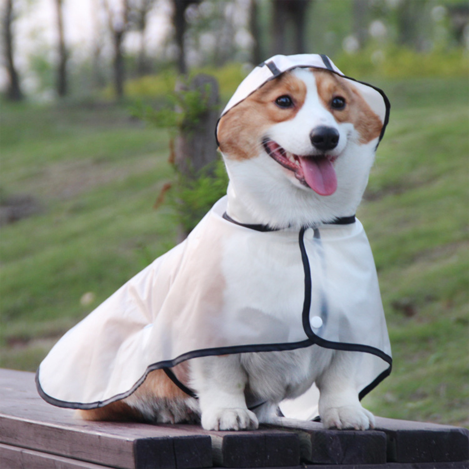 TPU Transparent Pet Cape Raincoat Large Dog Teddy Fado Koki Dog Clothing  Price