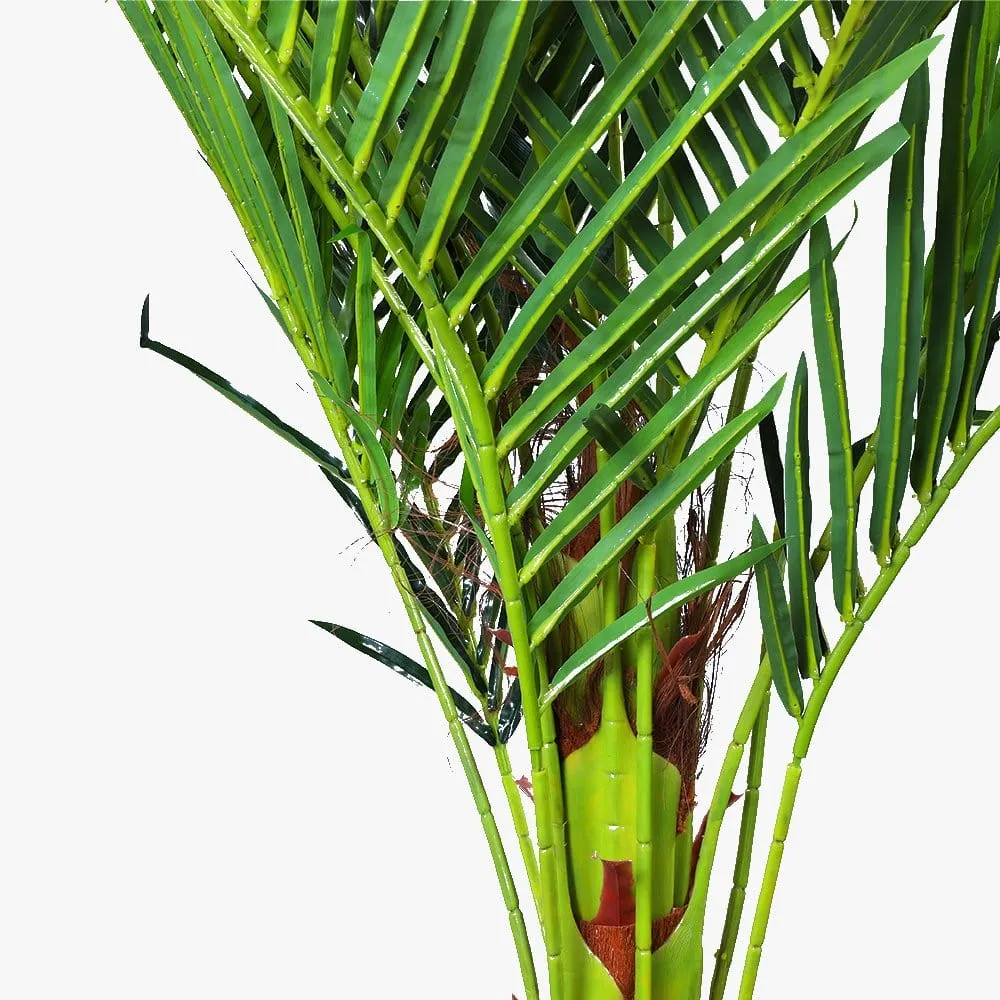 180cm Phoenix Palm - Artificial Plant, Home Decor Flora Price
