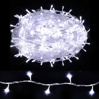 100M Christmas Lights String Fairy Light 500 LED