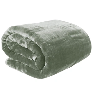 800-GSM Mink Blanket Queen Size Double-Sided Soft Plush Bed Faux Throw Rug Sage