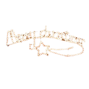 Samland Animated Merry Christmas Motif Rope Light W/ Controller