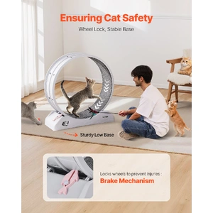 Cat Exercise Wheel, 31.5 in, Large Cat Running Wheel with Secure Brake & Carpeted Runway, Quiet Operation Cat Treadmill, Indoor Cats Exerciser Wheel f