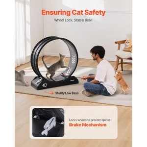 Cat Exercise Wheel, 31.5 in, Large Cat Running Wheel with Secure Brake & Carpeted Runway, Quiet Operation Cat Treadmill, Indoor Cats Exerciser Wheel f
