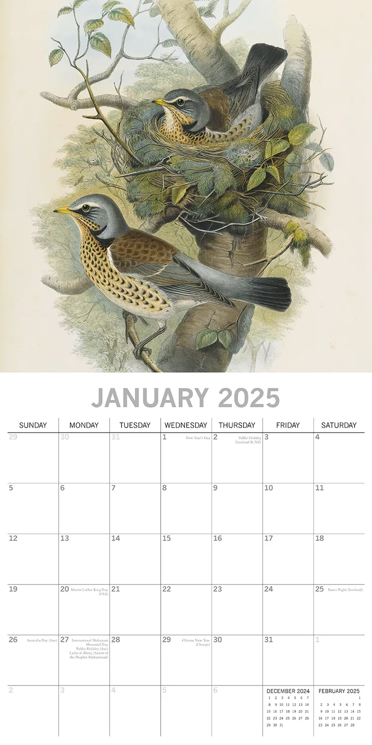 Garden Birds - 2025 Square Wall Calendar Pets Animals 16 Months Premium ...