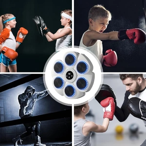 Bluetooth Boxing Machine Wall Mount White, Gloves Included