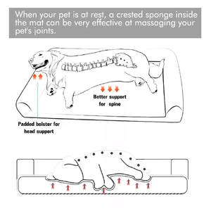 XL Size Orthopedic Dog Bed 3-Side Comfort Bolster Padded Calming Mattress Bed with Removable Cover