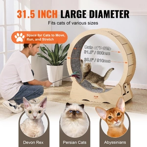 Cat Exercise Wheel, Large Cat Treadmill Wheel for Indoor Cats, 35.8 inch Cat Running Wheel with Detachable Carpet and Cat Teaser for Running/Walking/T