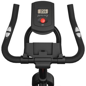 LSG SPG - 120 Spin Bike