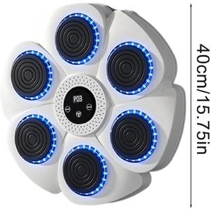 Bluetooth Boxing Machine Wall Mount White, Gloves Included