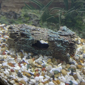 Tree Log Hide Ornament Trunk Tunnel Fish Reptile Tank Resin Aquarium Decoration - Small