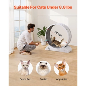 Cat Exercise Wheel, 31.5 in, Large Cat Running Wheel with Secure Brake & Carpeted Runway, Quiet Operation Cat Treadmill, Indoor Cats Exerciser Wheel f
