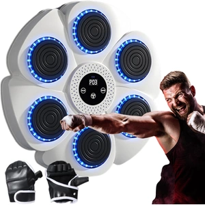 Bluetooth Boxing Machine Wall Mount White, Gloves Included