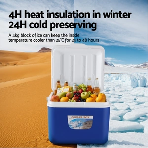 26L Portable Ice Cooler Box Camping Fridge