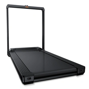 WalkingPad MX16 Double - Fold & Stow Walking and Running Treadmill