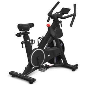 SM - 420 Spin Bike with Automatic Magnetic Resistance