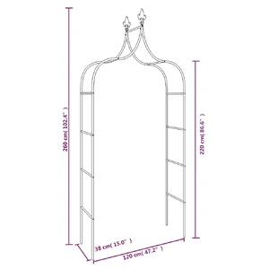 Garden Arches 2 pcs Black 120x38x260 cm Steel