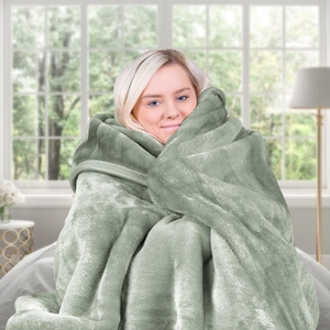 800-GSM Mink Blanket Queen Size Double-Sided Soft Plush Bed Faux Throw Rug Sage
