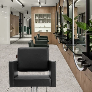 Salon Chair, Barber Chair for Hair Stylist, Styling Chair with Heavy Duty Hydraulic Pump, Swivel Hair Salon Chair with Footrest for Beauty Spa Shampoo