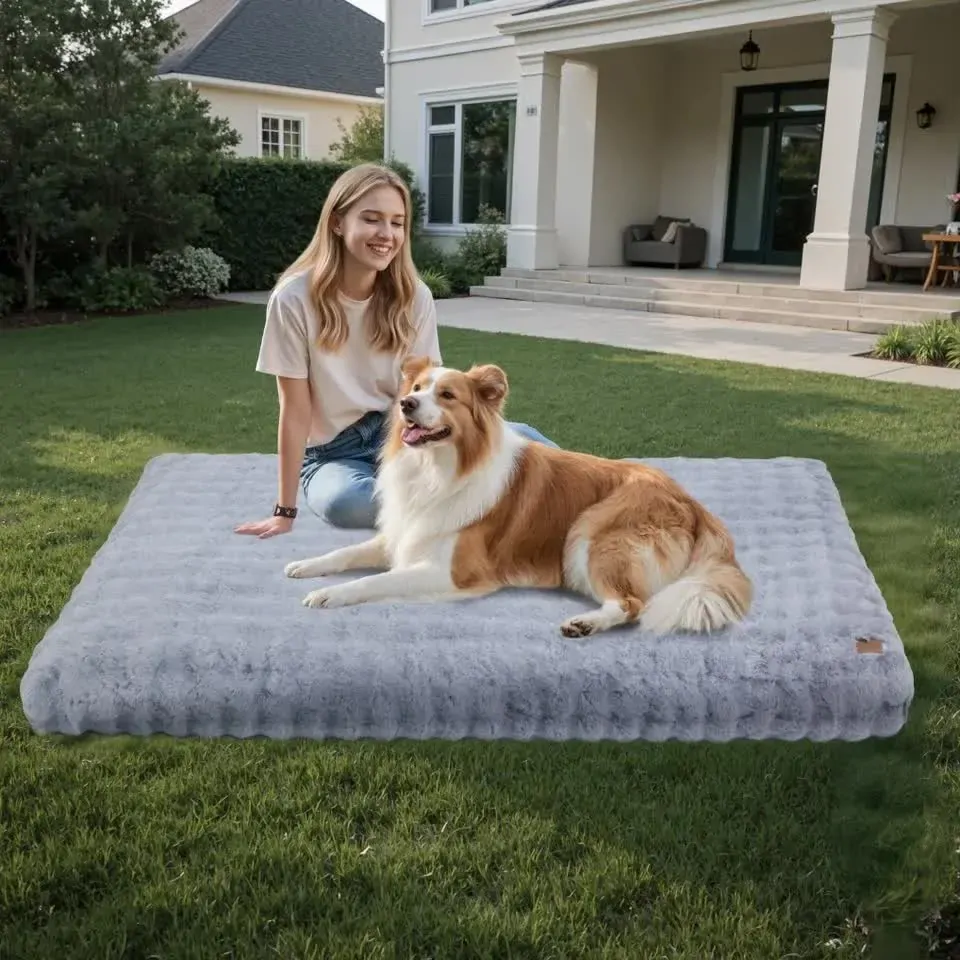 Comfortable Pet Bed with Removable Cover and Anti Skid Base