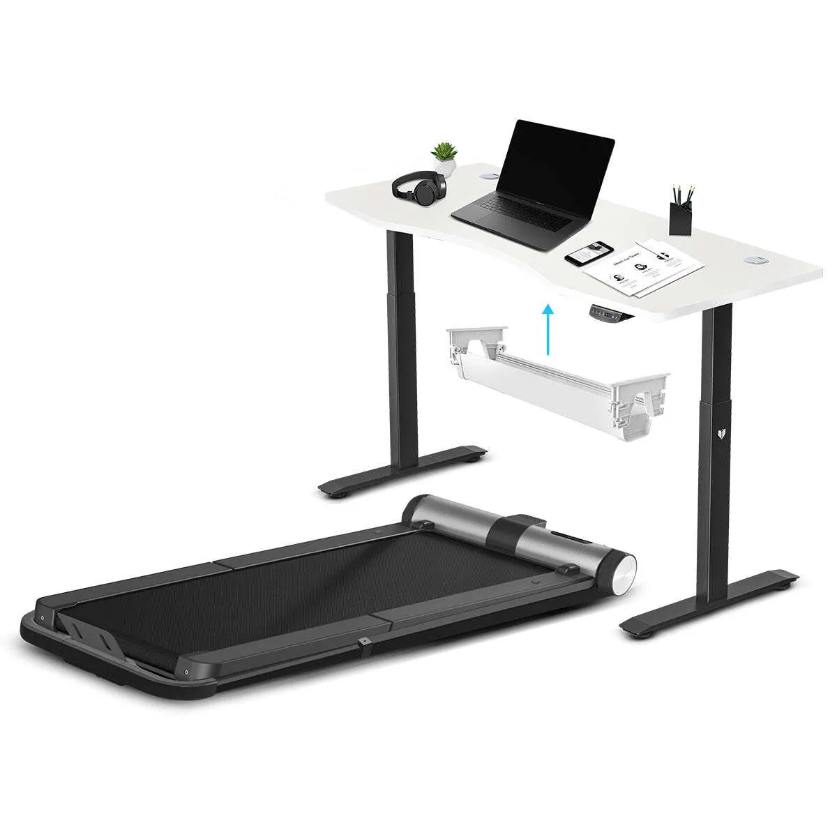 WalkingPad MC21 with Dual Motor Automatic Standing Desk in and Cable Management