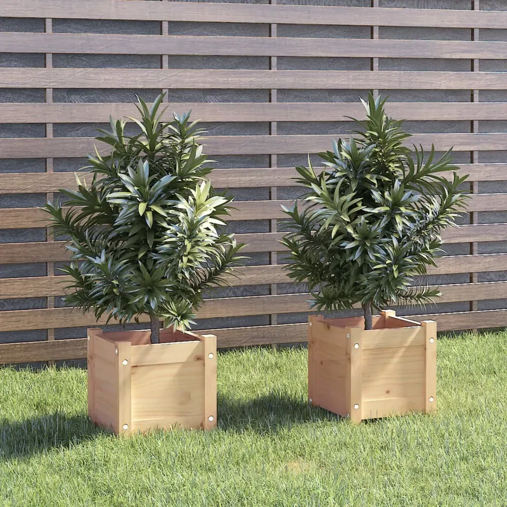 Garden Planter 31 by 31 by 31 cm Solid Pinewood