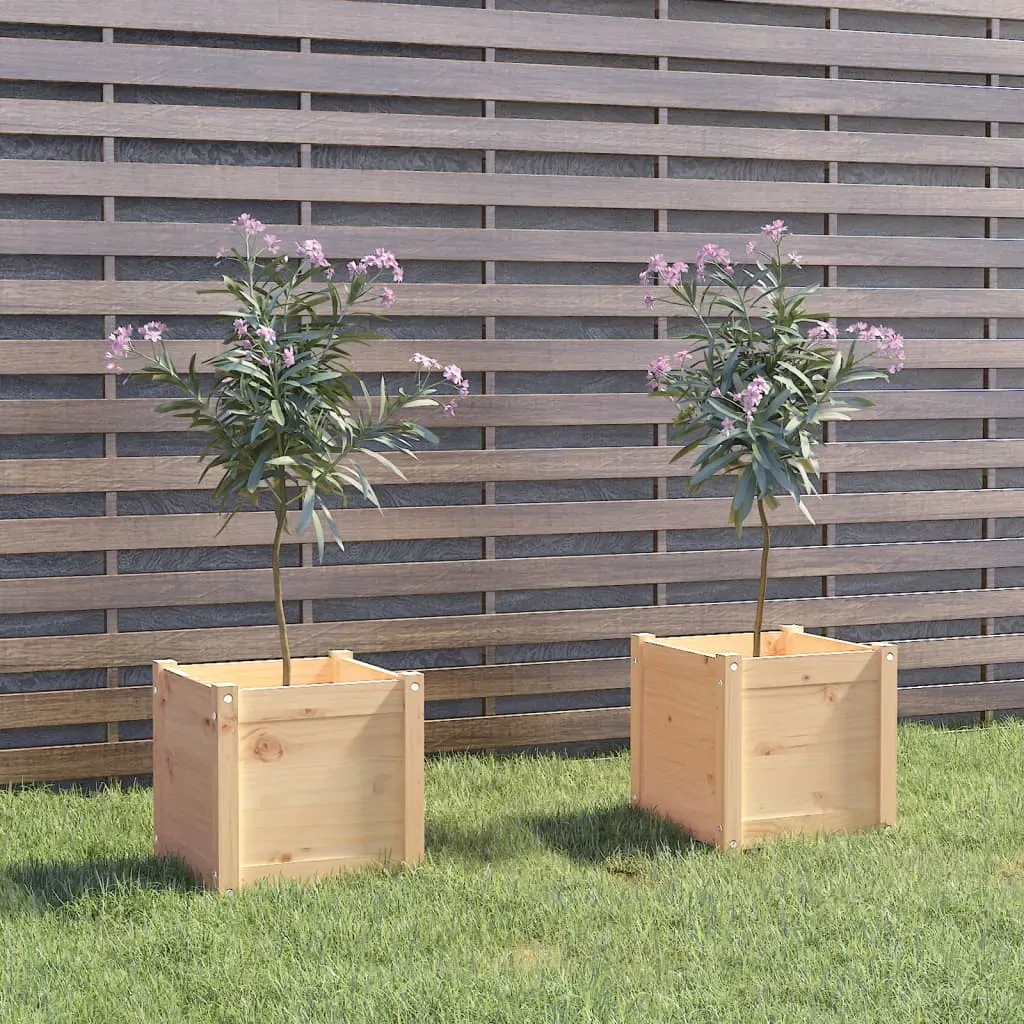 Garden Planter 40 by 40 by 40 cm Solid Pinewood