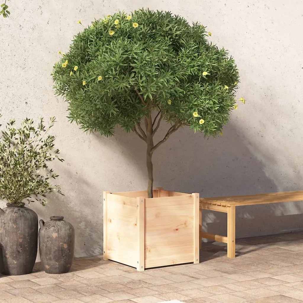 Garden Planter 50 by 50 by 50 cm Solid Pinewood
