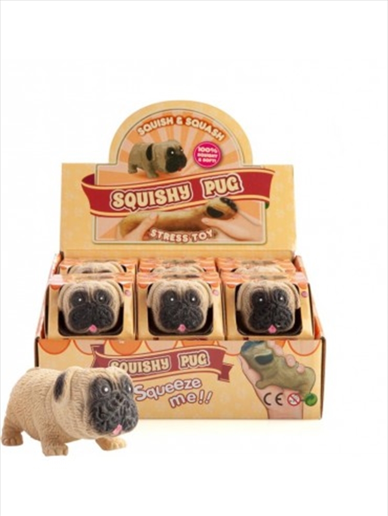 Squishy Pug Toy