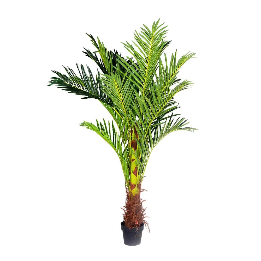 180cm Phoenix Palm - Artificial Plant, Home Decor Flora 180cm Phoenix Palm - Artificial Plant, Home Decor Flora