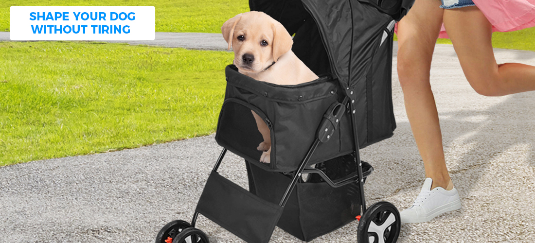 dog pram