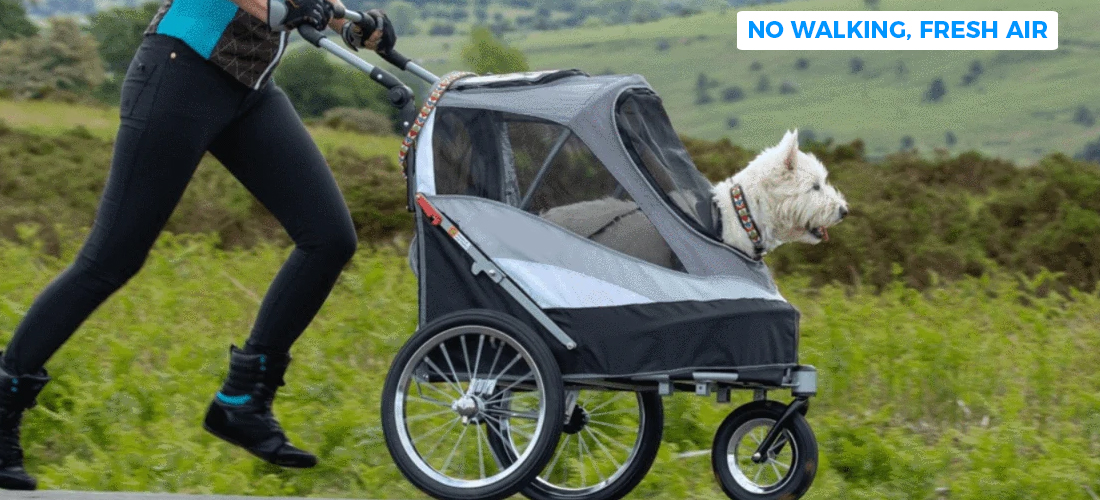 dog pram