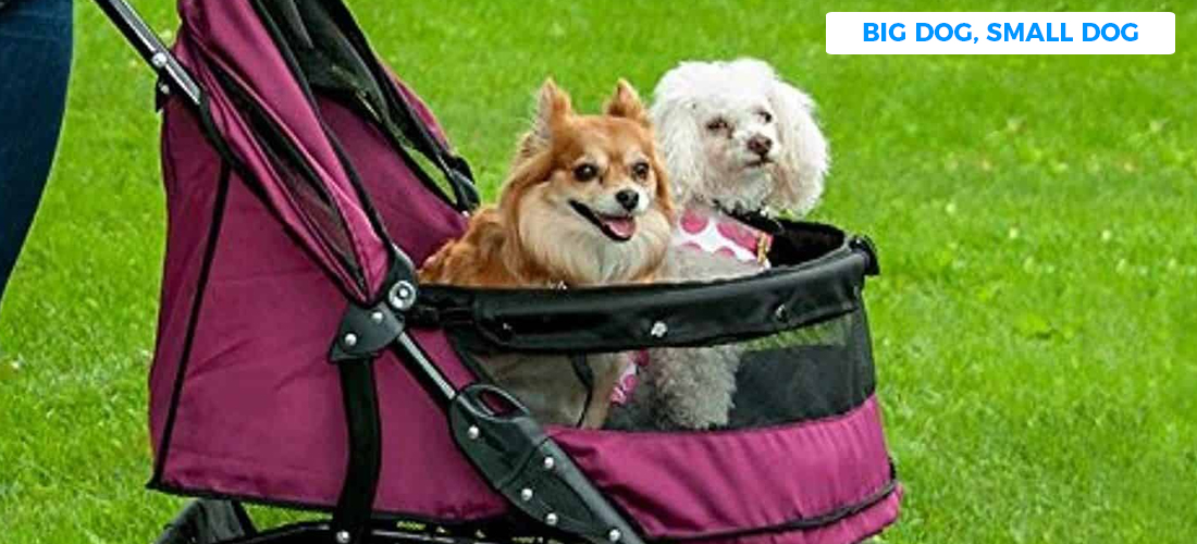 dog pram