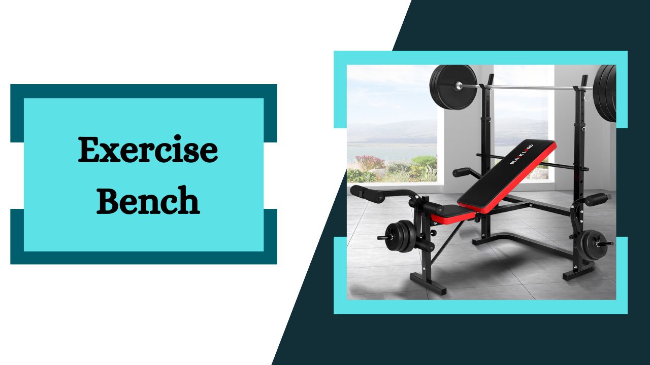 Exercise Bench