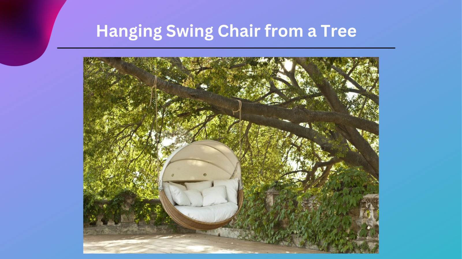 Hanging Swing Chair from a Tree