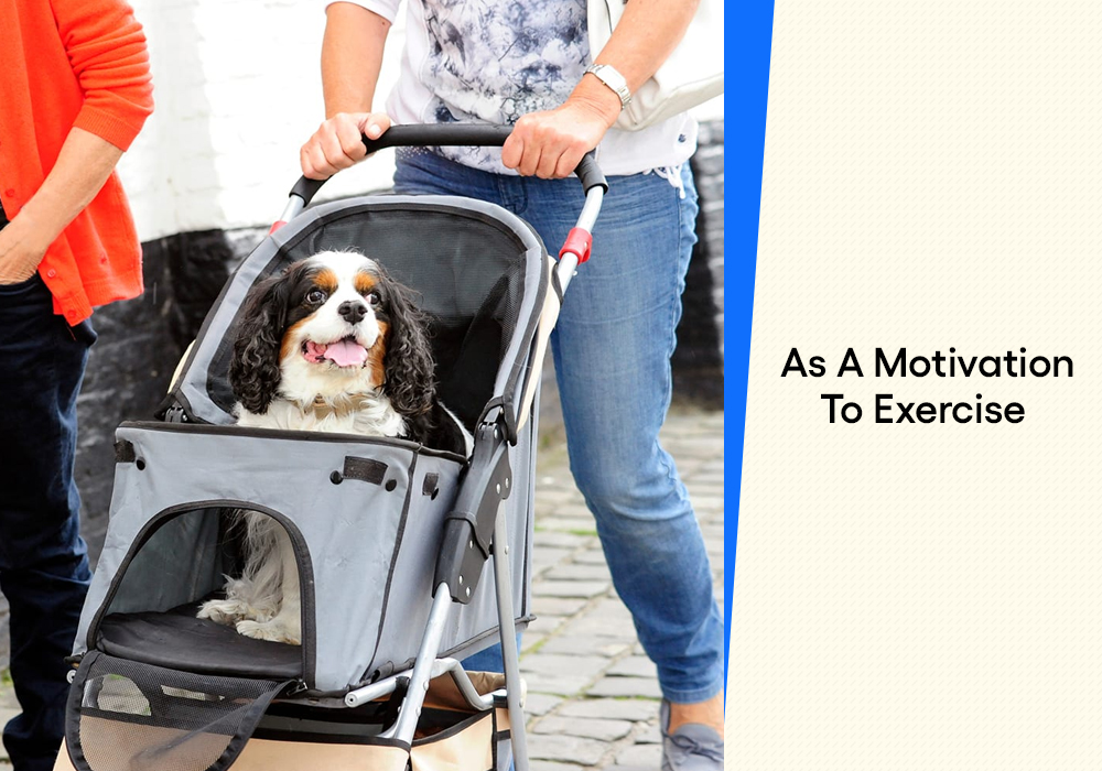 Buy Online Pet Pram