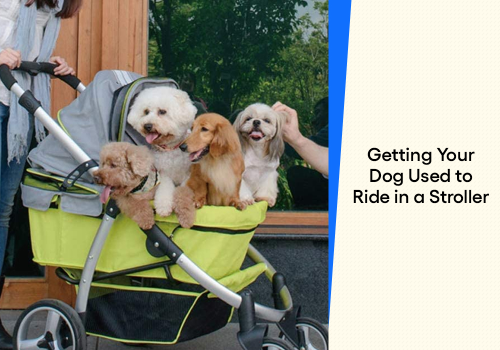 Best Pet Stroller Australia