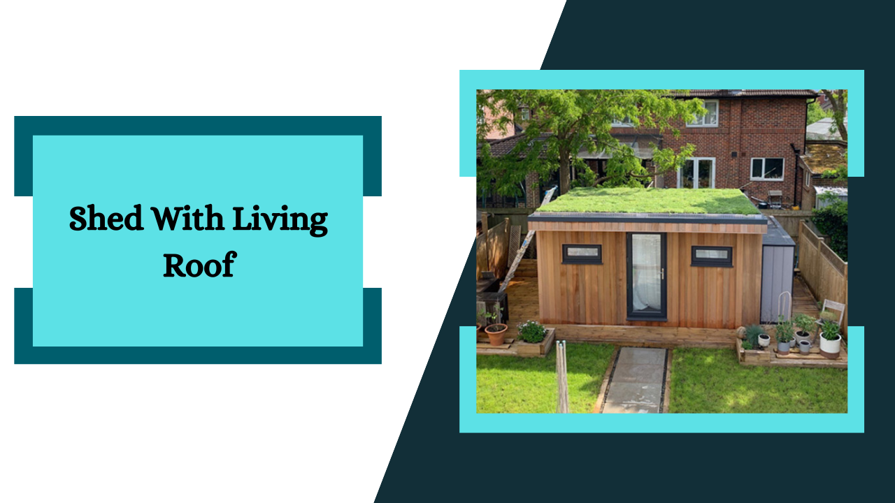 Shed With Living Roof