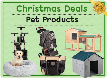 Xmas Sale