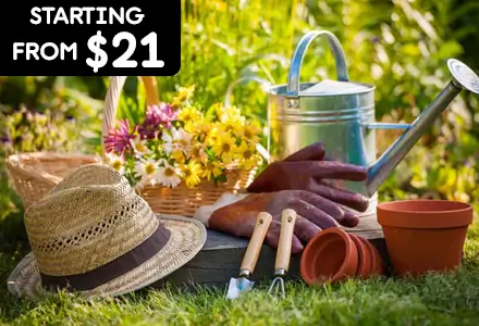 Gardening Tools For All Your Needs