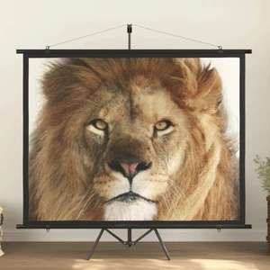  Projection Screen with Tripod 100" 4:3