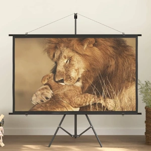  Projection Screen with Tripod 72" 16:9