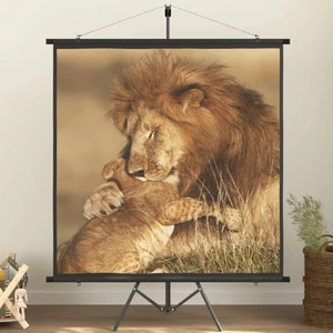  Projection Screen with Tripod 226.1 cm 1:1