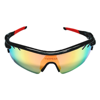 Verpeak Sport Sunglasses ( frame with end tip)