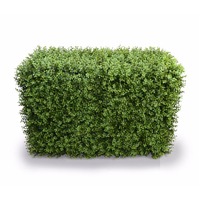 Deluxe Portable Buxus Hedges UV Stabilised