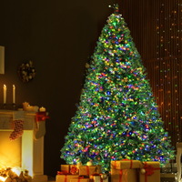 Jingle Jollys Christmas Tree Xmas Tree with LED Lights Multi Colour